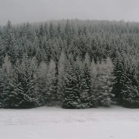 Kvapil Lipova-lazne