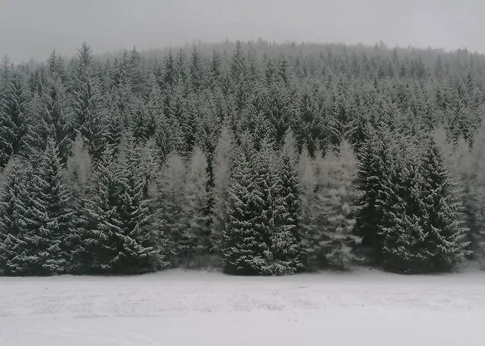 Kvapil Lipová-lázně